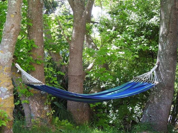 282 Patons Rock Road Kahurangi National Park_13