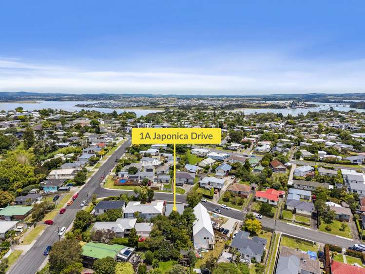 1a Japonica Drive Beach Haven_16