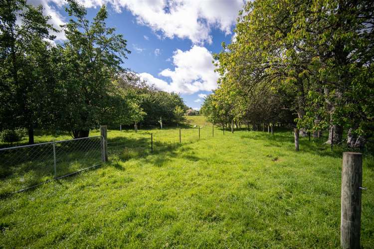 237 Win Valley Road Dovedale_33