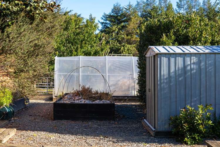 12 Prices Road Havelock_53