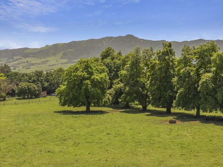 1 Temm Road Te Poi_7