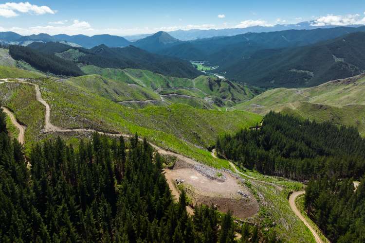 Waihopai Valley Road Waihopai Valley_5