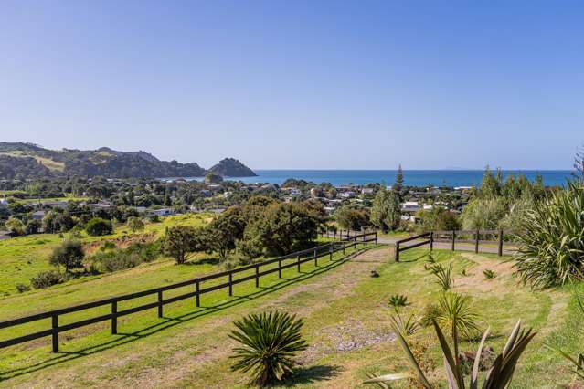 Yes Look & Look Again