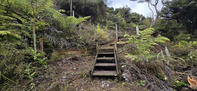 41a Blackwell Drive Great Barrier Island (Aotea Island)_11