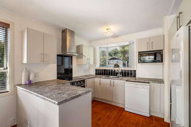 19 Collie Street Hillpark_4