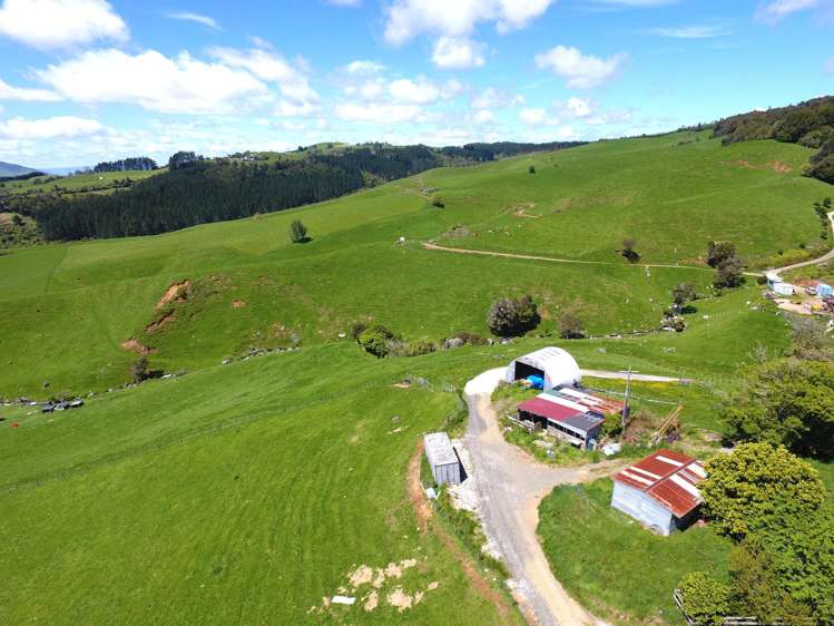 3/585 O'Shea Road Pirongia_22