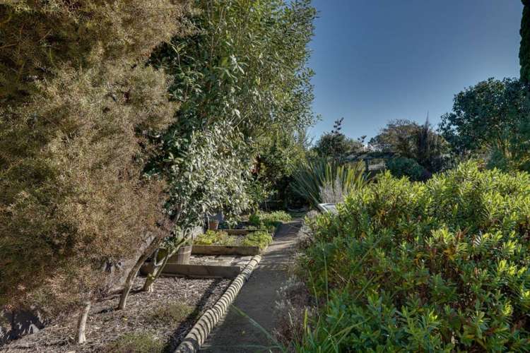 51 Inkerman Street Renwick_26