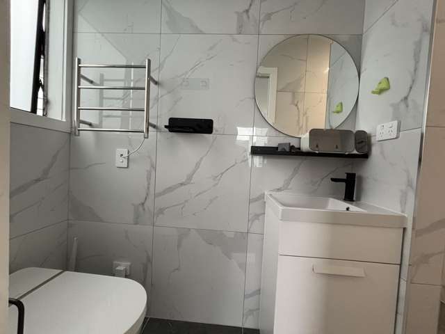 68A Lyttelton Ave Forrest Hill_4