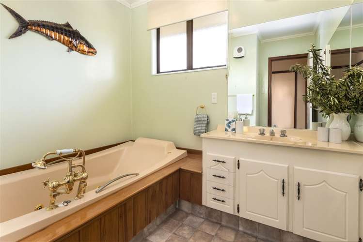 17 Murphys Road Springlands_8