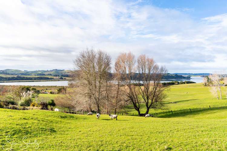 147 Petley Road Paparoa_2