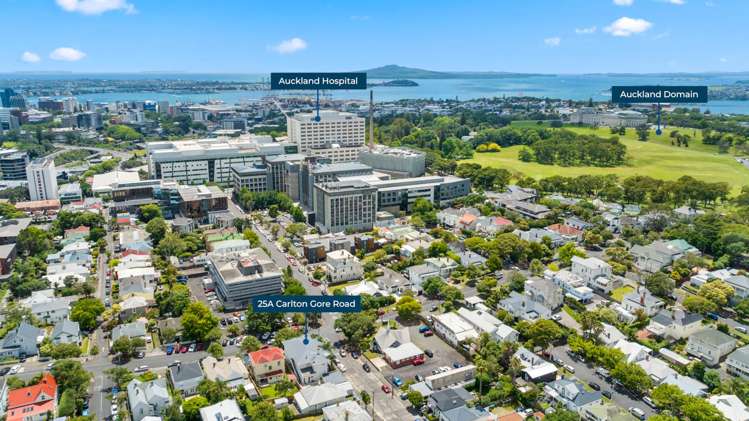 25a Carlton Gore Road Grafton_9