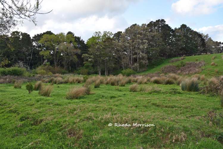 726 Paparoa Station Road Maungaturoto_66