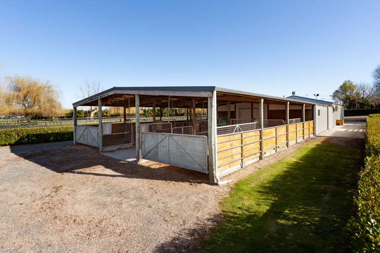 78 Tower Road Matamata_8