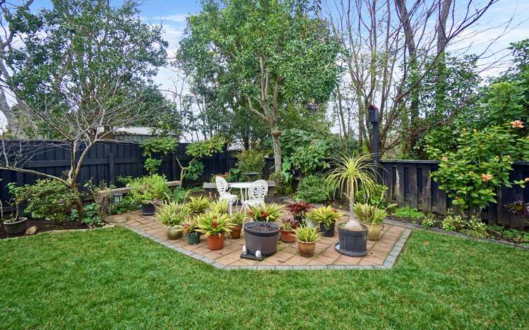 10b Tynan Street Te Puke_15