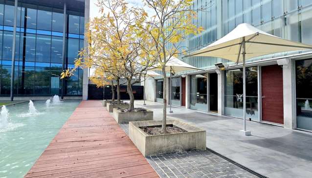 14 Show Place Addington_1