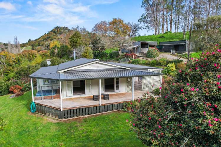341 Mangarino Road_0
