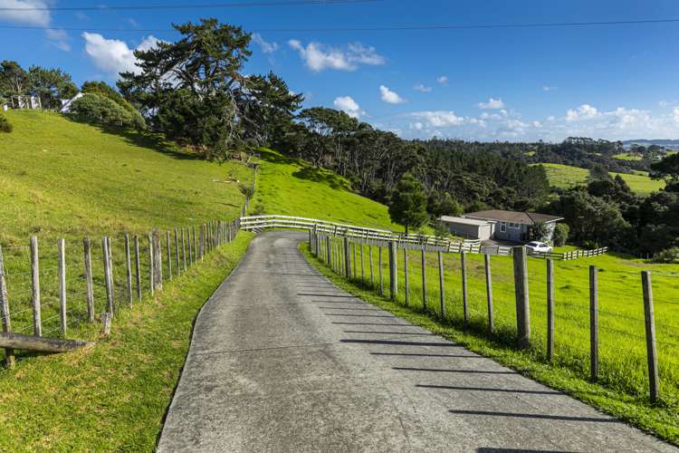 88 Sheffield Road Helensville_15