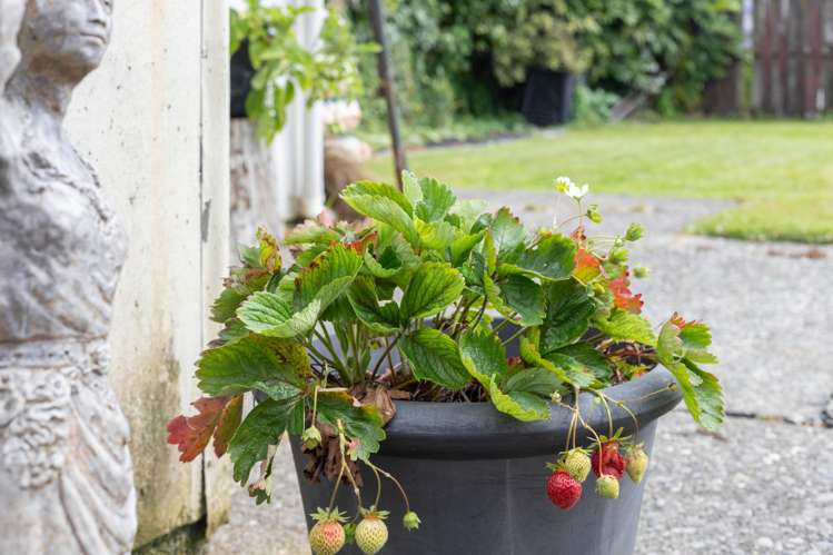 14 Marlborough Street Greymouth_25