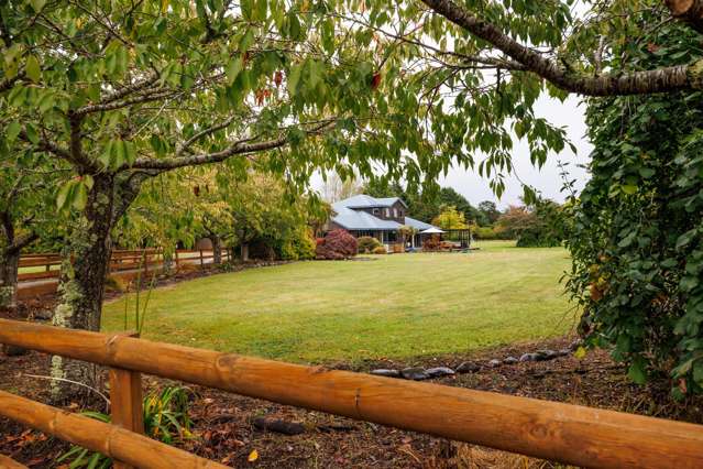 Peace and tranquillity in Fitzherbert