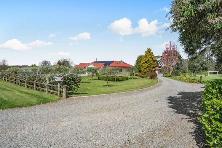 37 North Street Greytown_35