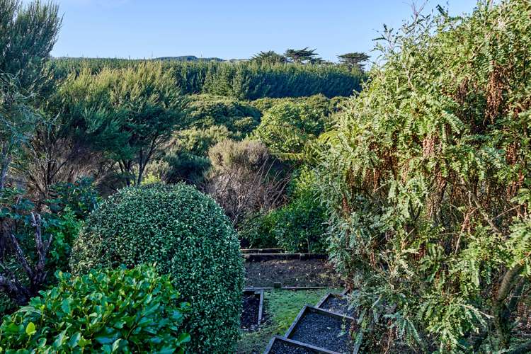 23 Gray Street Pukerua Bay_23