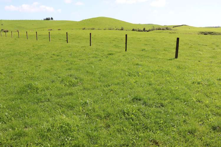 828 Hursthouse Road Inglewood_11