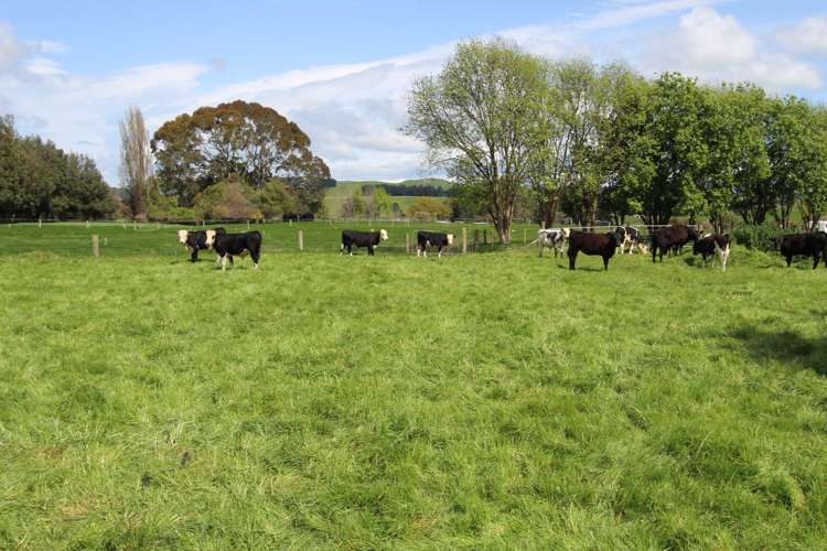 78 Waituna Road Pahiatua_19