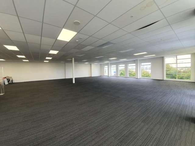 131 Lincoln Road, Henderson Henderson_4