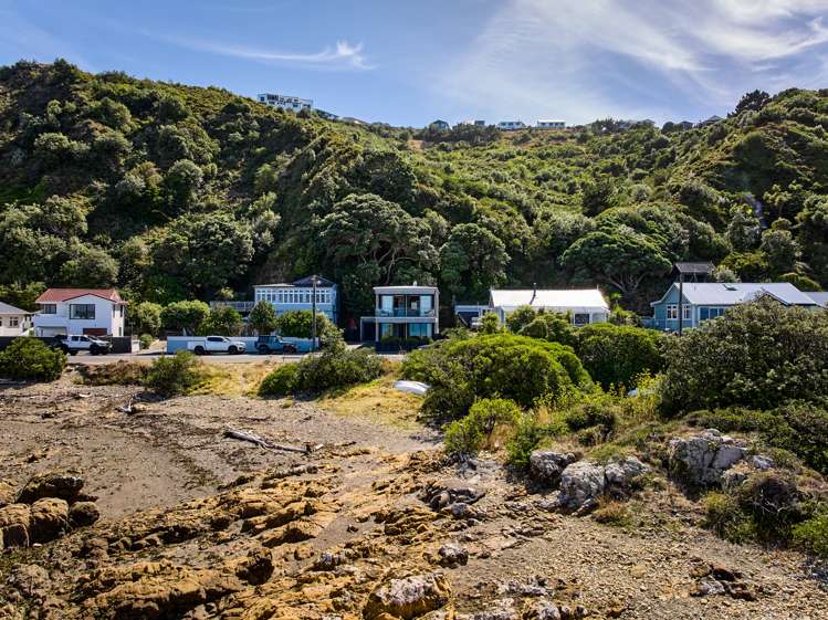 196 The Esplanade Island Bay_5