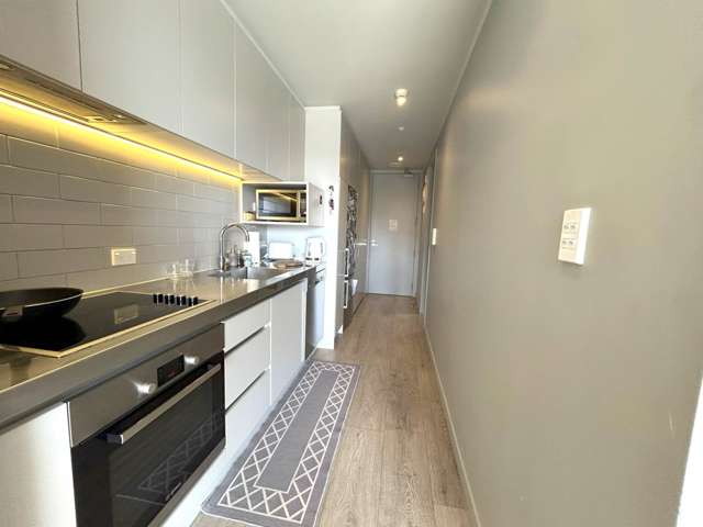 313/27 Union Street Auckland Central_1