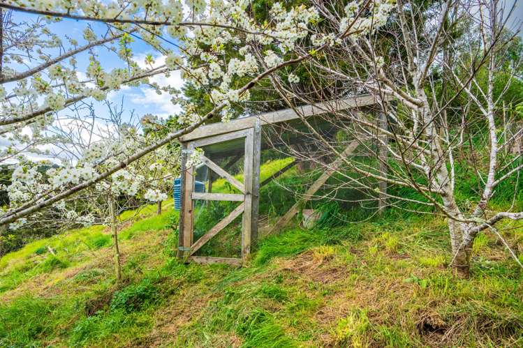 921 Pataua North Road Whareora_15