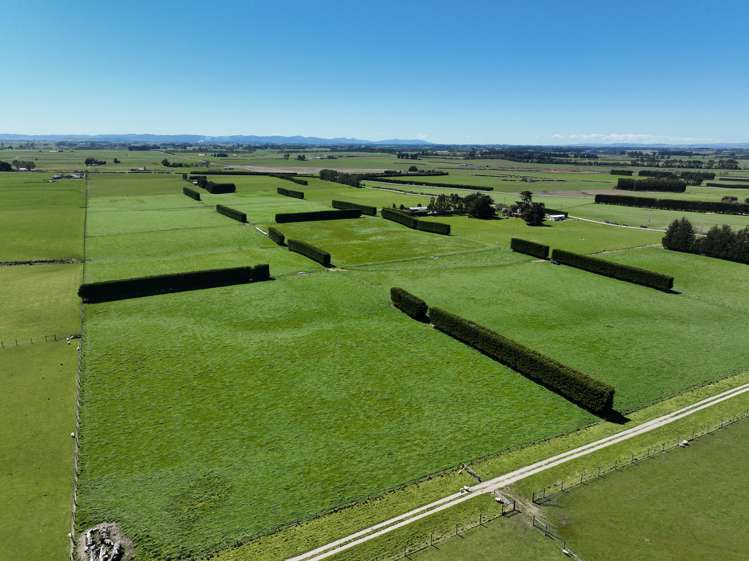 616 Woodlands Road_0