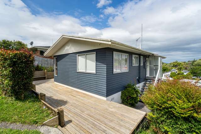 52 Ayton Drive Totara Vale_3