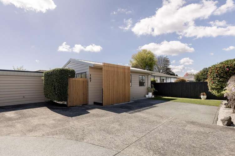 167 Fifteenth Avenue Tauranga South_18
