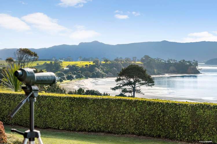 204 Big Bay Road Manukau Heads_6