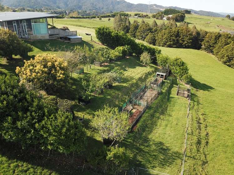 Pompallier Estate Drive Maunu_7