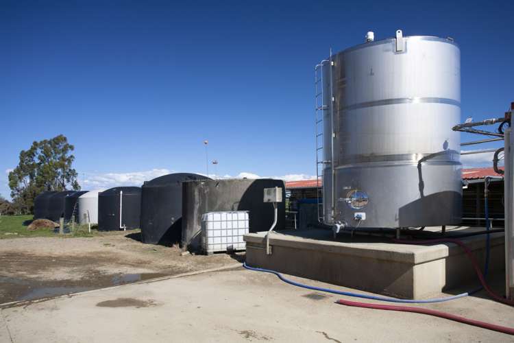 17 Tongue Road Balclutha_12