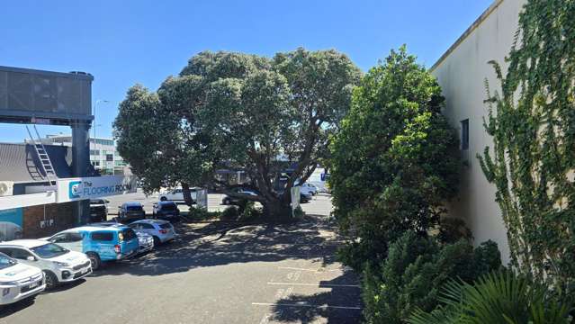 Level 1/132 Eleventh Avenue Tauranga Central_2