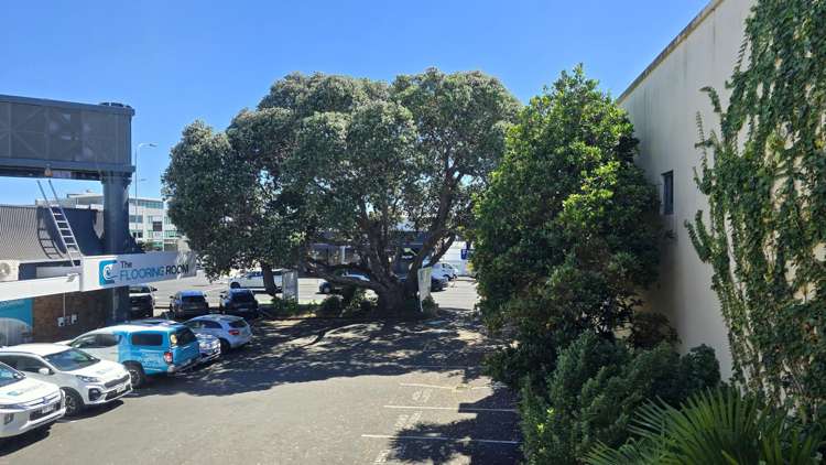 Level 1/132 Eleventh Avenue Tauranga Central_2