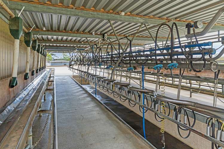 1369 Te Aroha-Gordon Road Manawaru_19