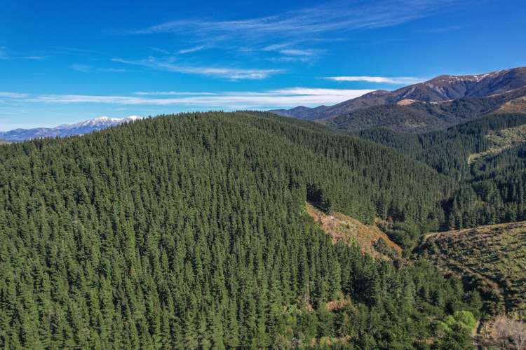 245 Sladdens Bush Road Oxford_7