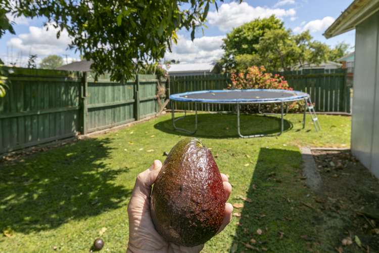 13 Harlock Place Huntly_25