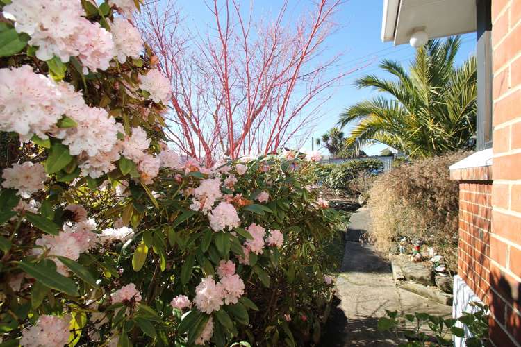 63 Martin Road Fairfield_18