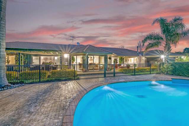 143 Goodland Drive Dairy Flat_4