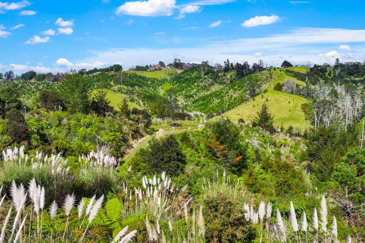 Lot 3 Radiata Road Warkworth_10