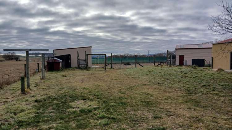 35 Lauder-Omakau Road Alexandra_23