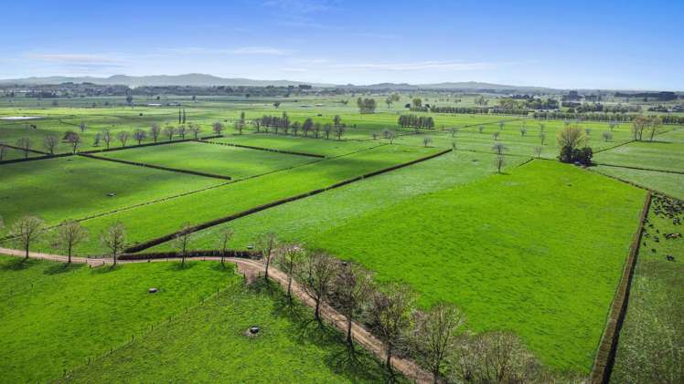 520 Lake Road Horsham Downs_2