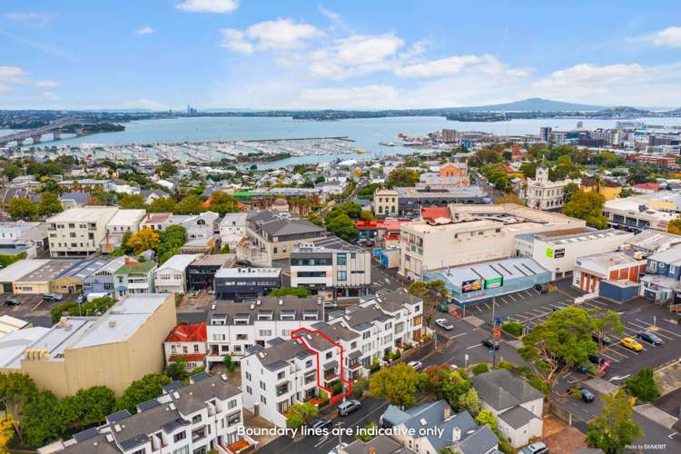 11 Sheehan Street Ponsonby_21