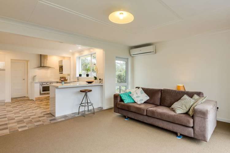 54 Every Street Andersons Bay_4