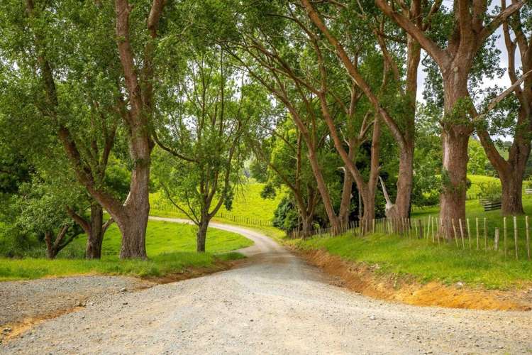 671 Ruakiwi Road Te Akau_25